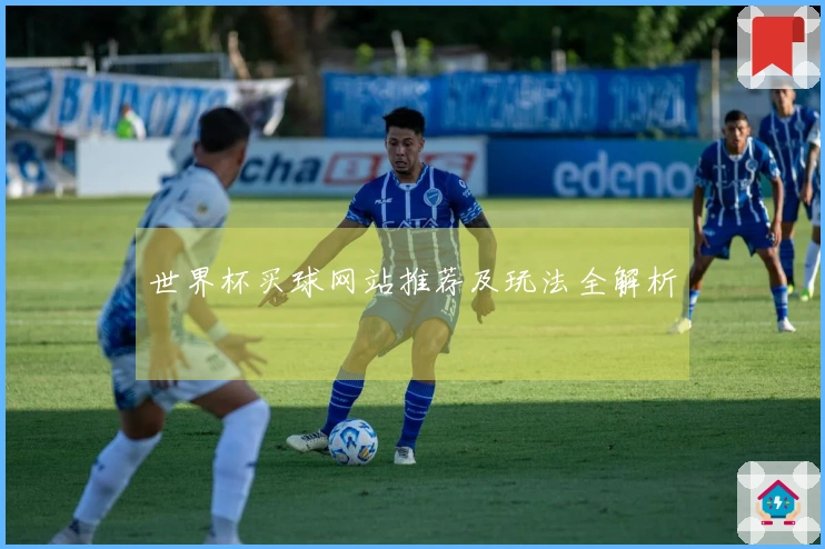 世界杯买球网站推荐及玩法全解析