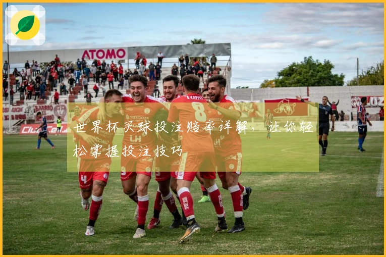 世界杯买球投注赔率详解，让你轻松掌握投注技巧